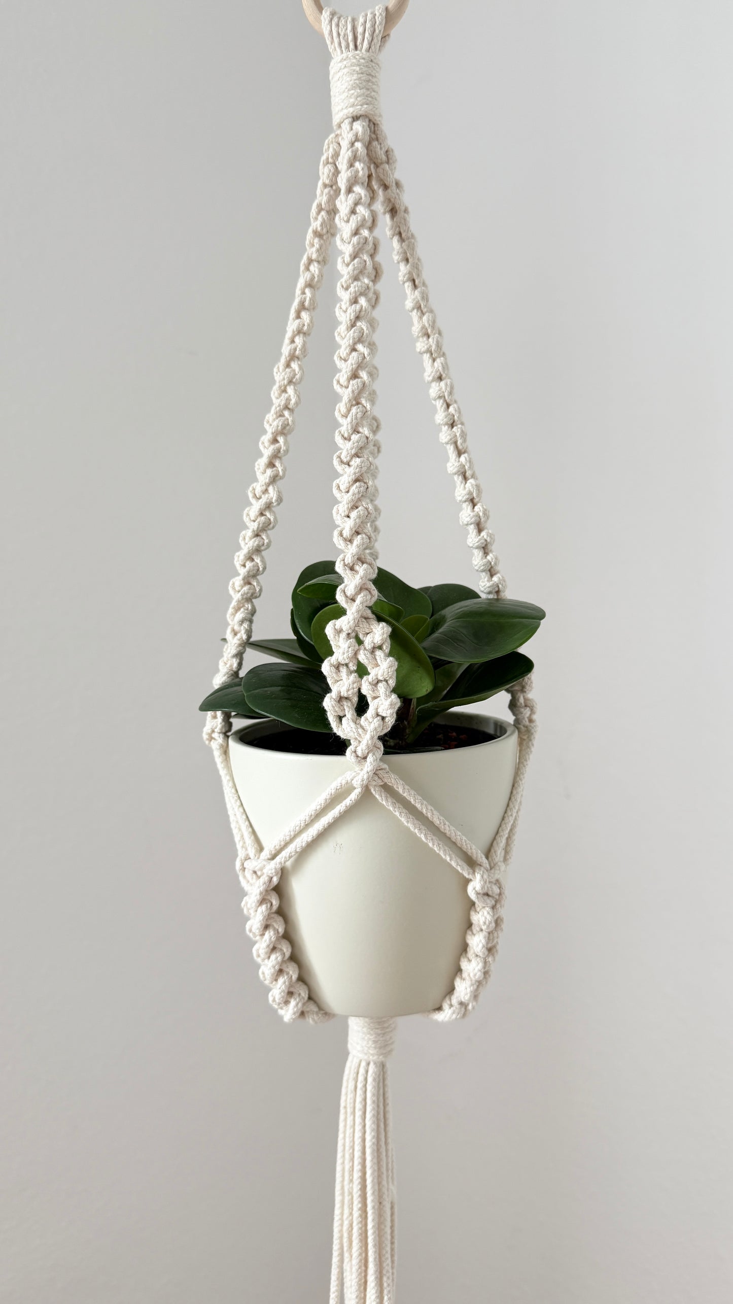 Macrame plant hanger with a potted plant on a plain background
