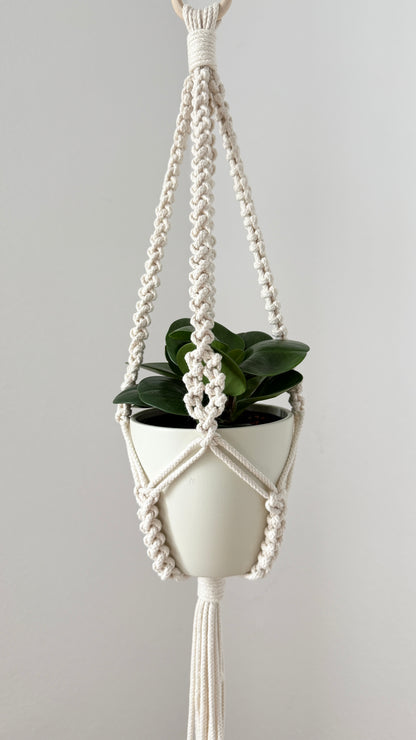 Macrame plant hanger with a potted plant on a plain background