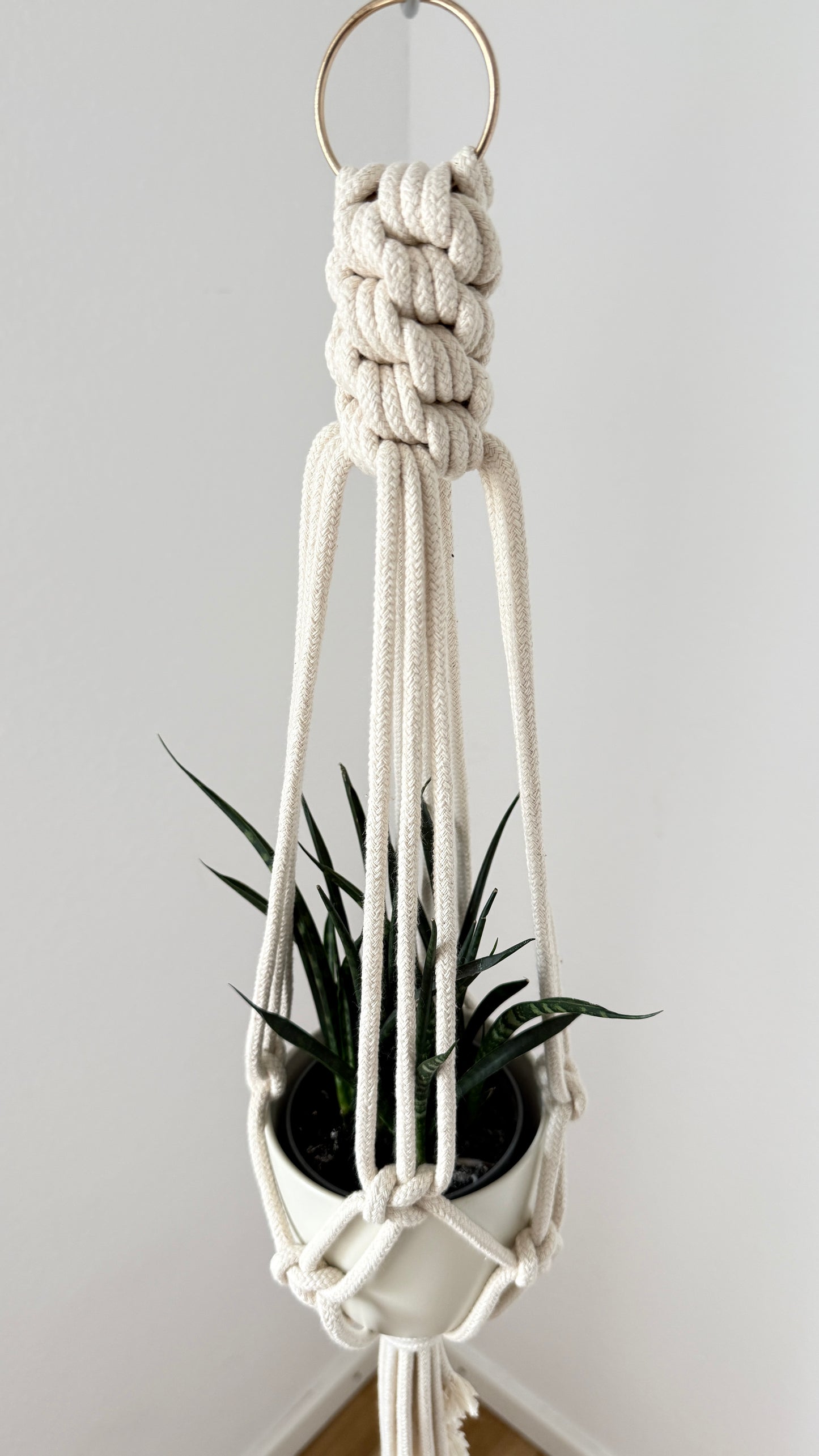 Macrame plant hanger with a plant against a plain background