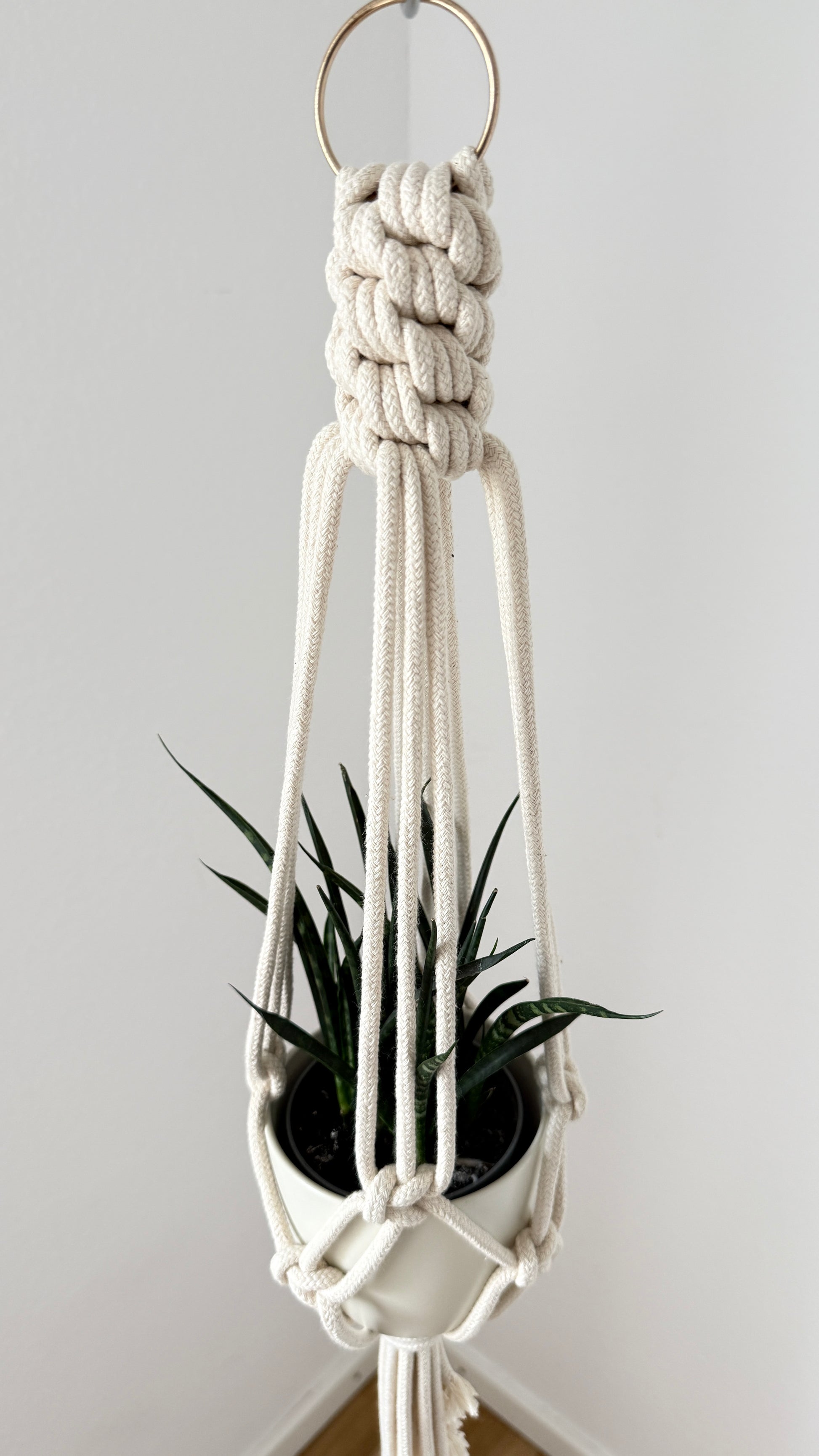 Macrame plant hanger with a plant against a plain background