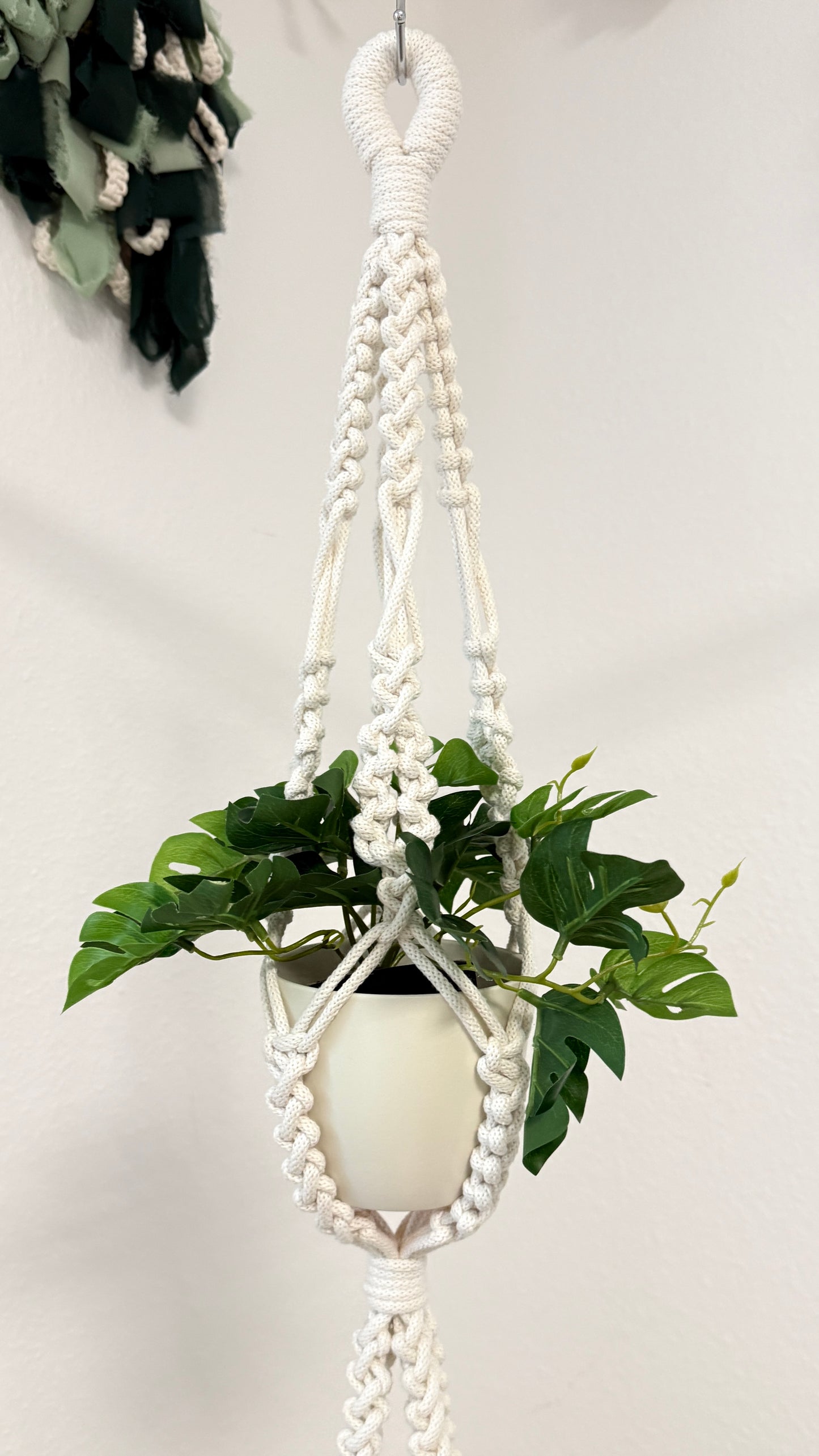 White macrame plant hanger with a green plant against a white background