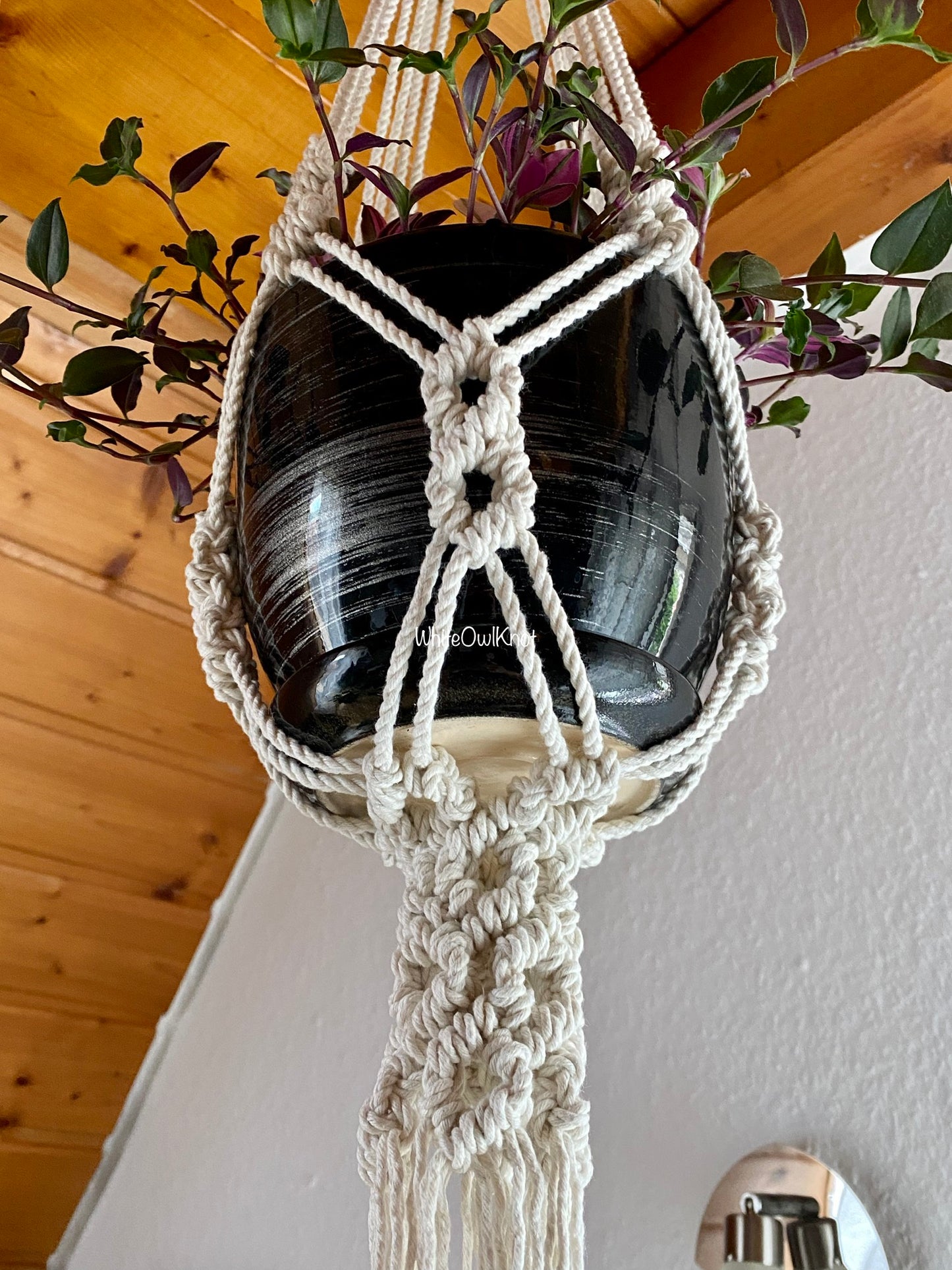 Macrame plant hanger with a black pot against a wooden wall.
