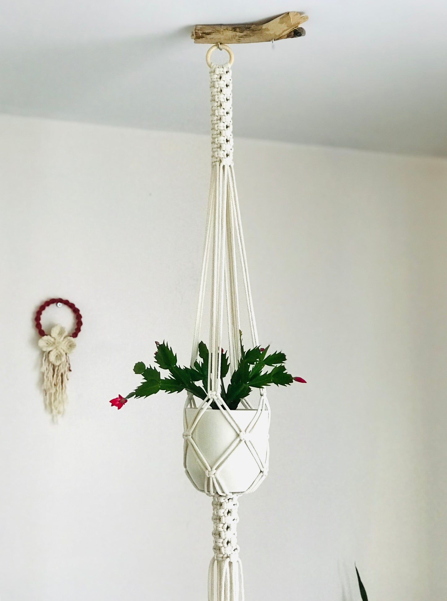 Macrame Plant Hanger PDF Pattern