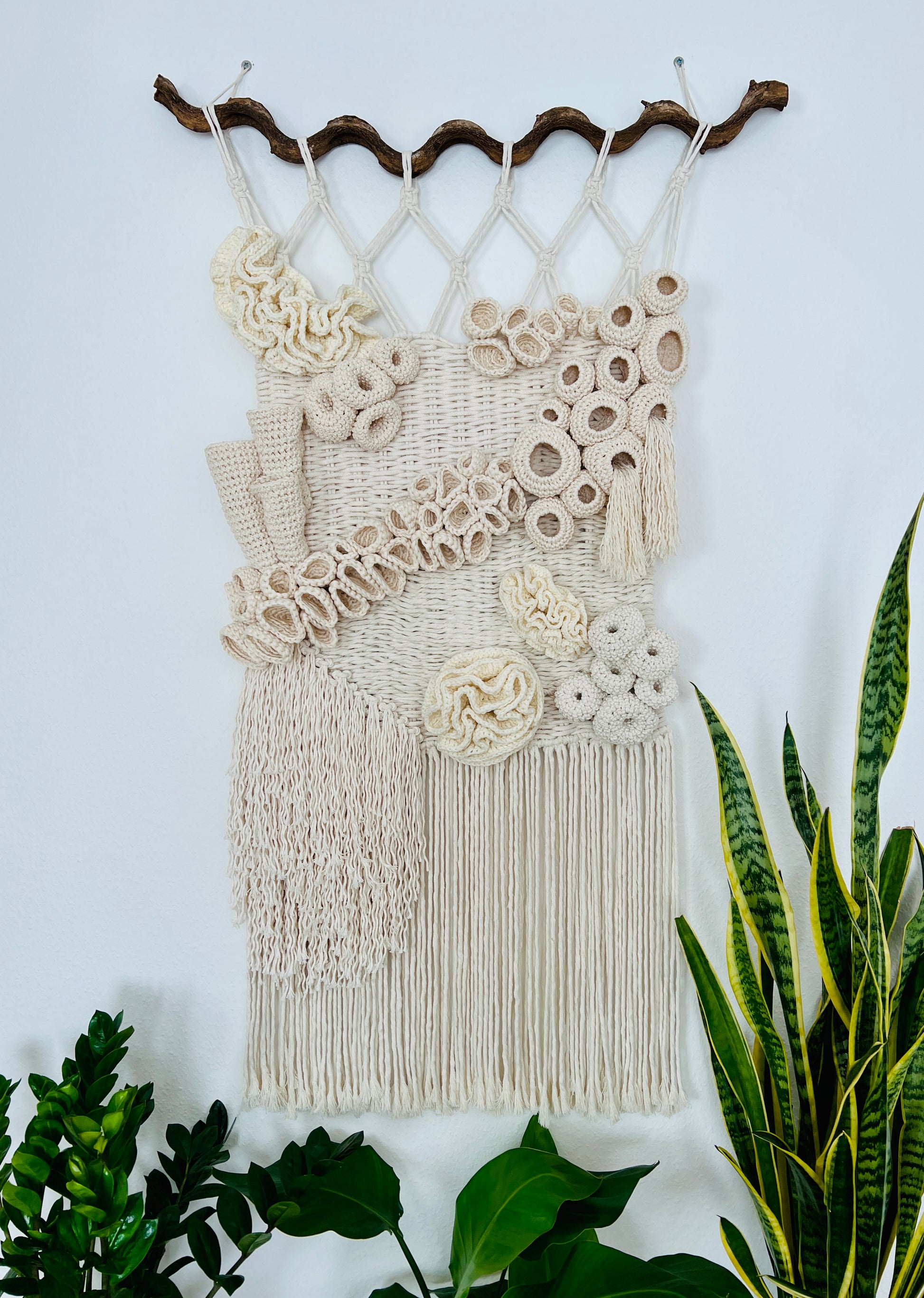 Macrame wall hanging with crochet accents on a white wall with plants around.