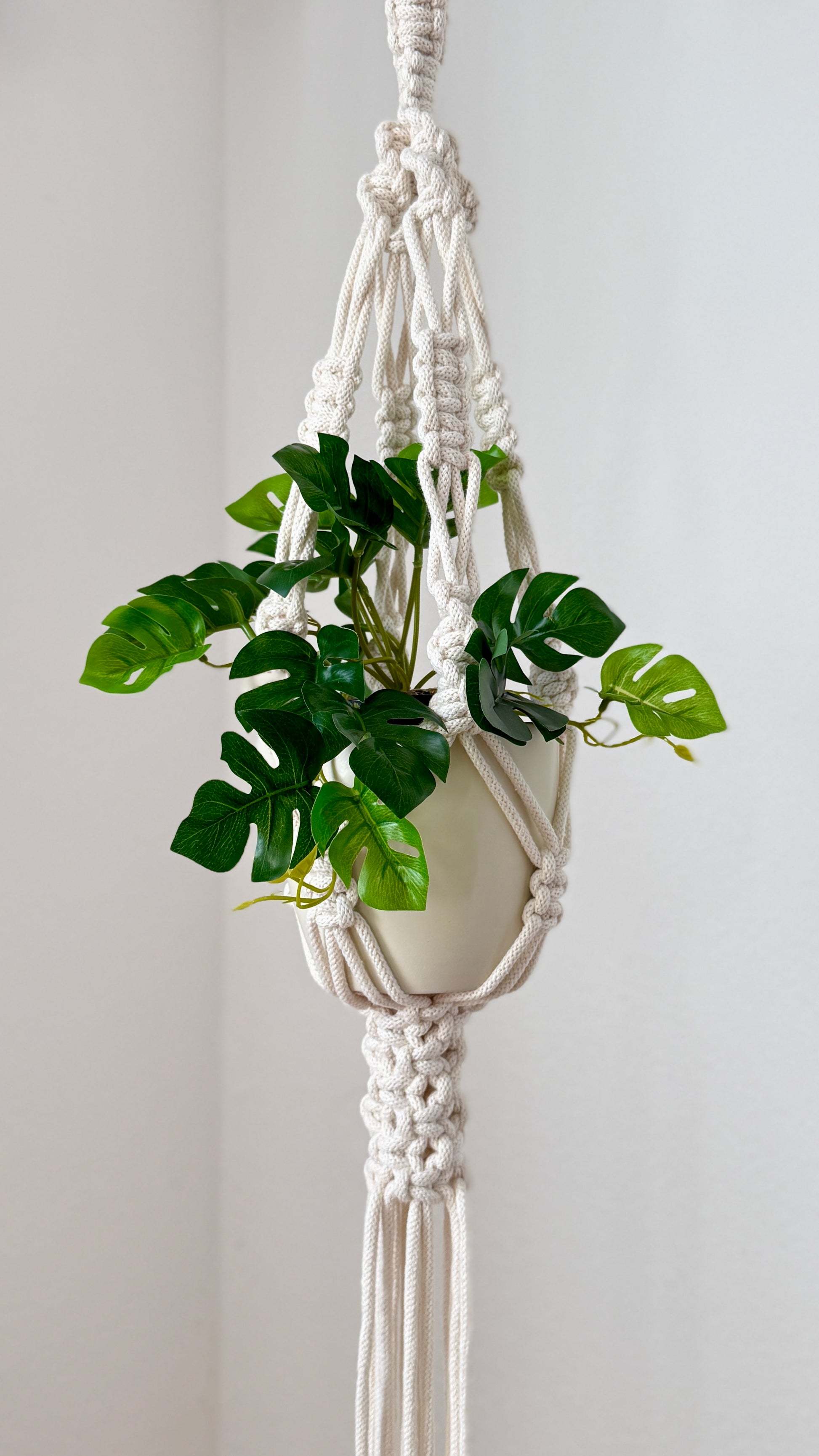 Macrame plant hanger with a green plant against a white background