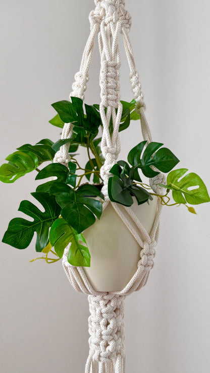 Macrame plant hanger with a potted plant on a plain background