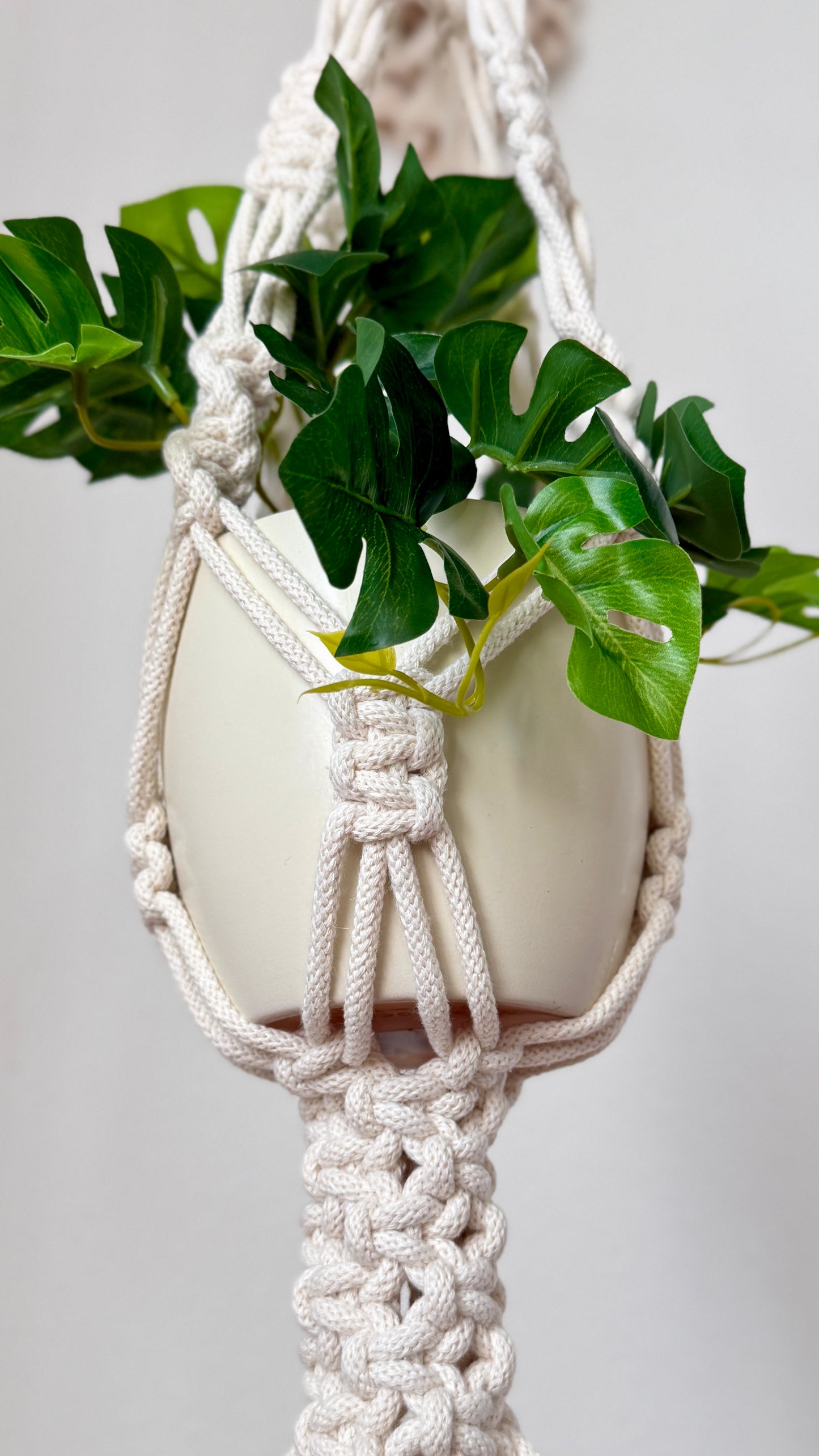 Macrame plant hanger with a white pot and green plant on a light gray background