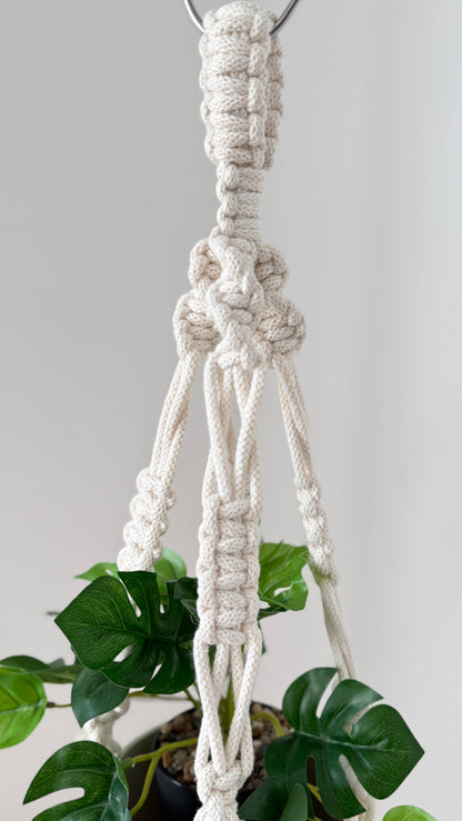 Macrame plant hanger with a plant against a plain background