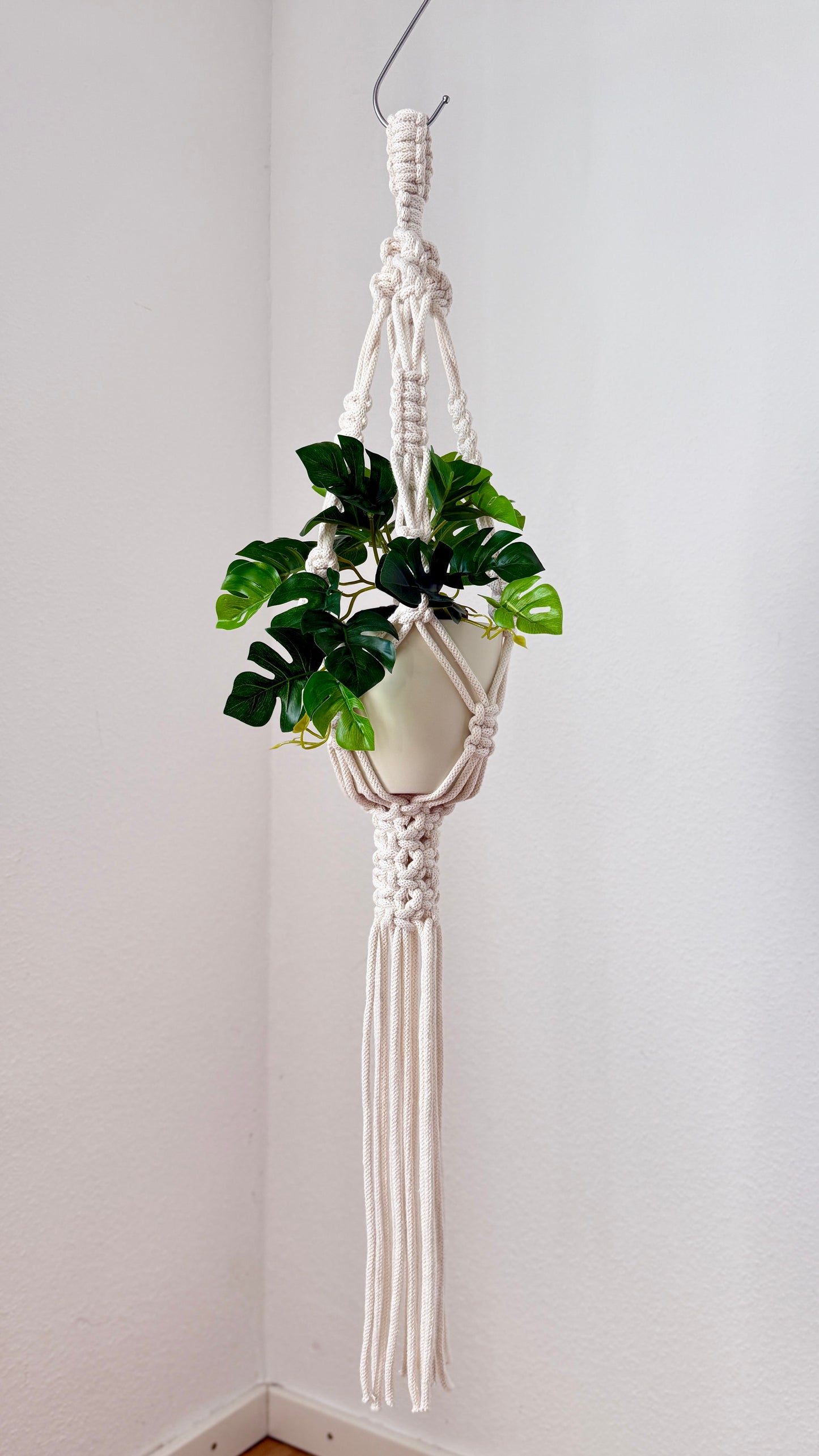 Macrame plant hanger with a plant against a white wall