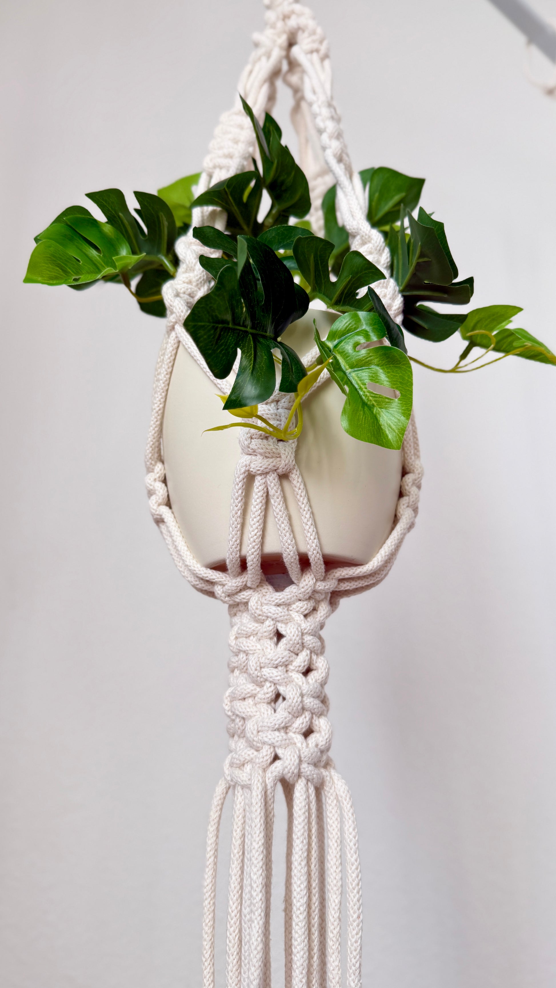 Macrame plant hanger with a potted plant on a plain background