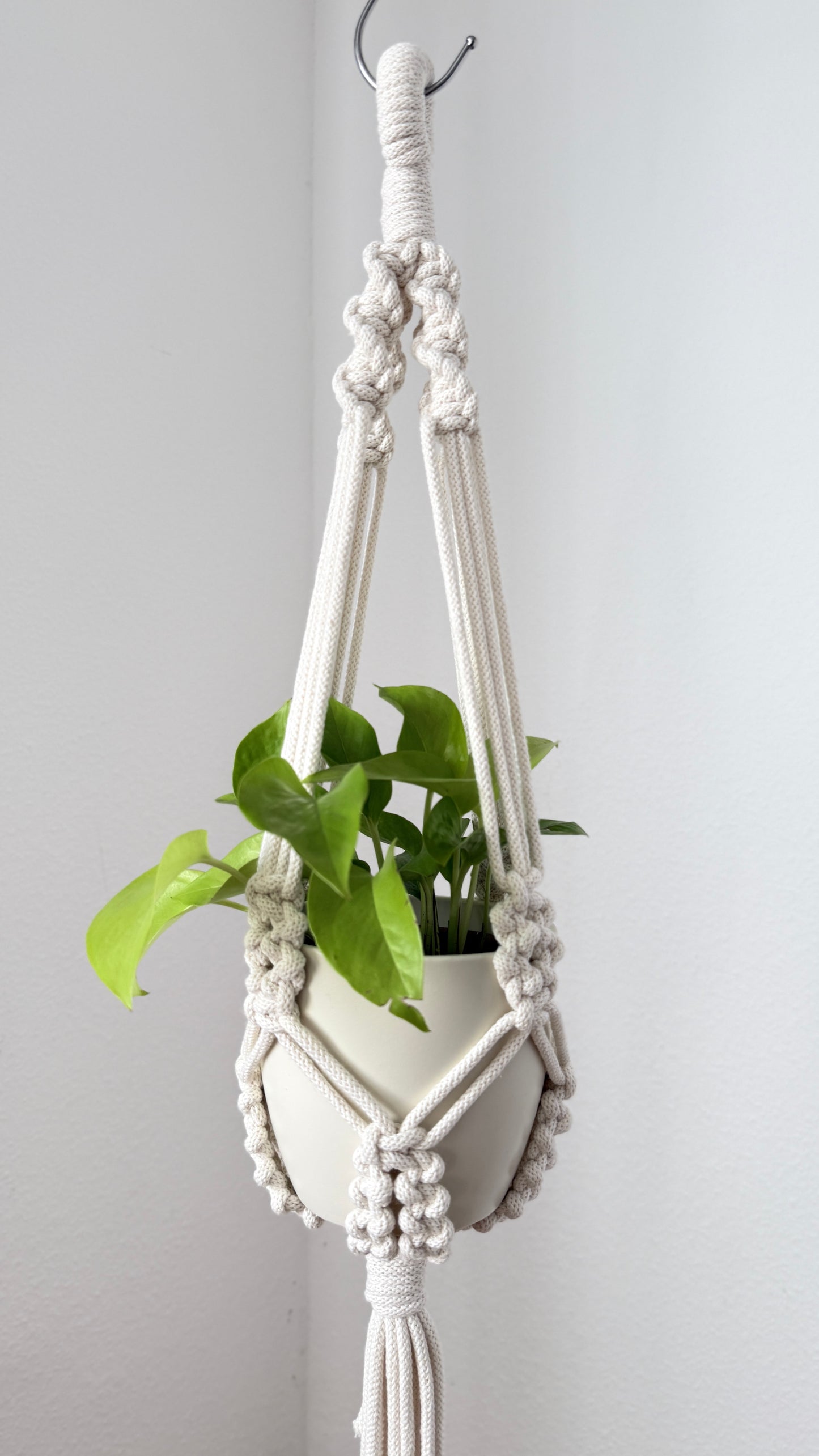 Macrame plant hanger with a potted plant on a plain background