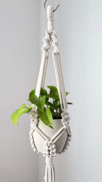 Macrame plant hanger with a potted plant on a plain background