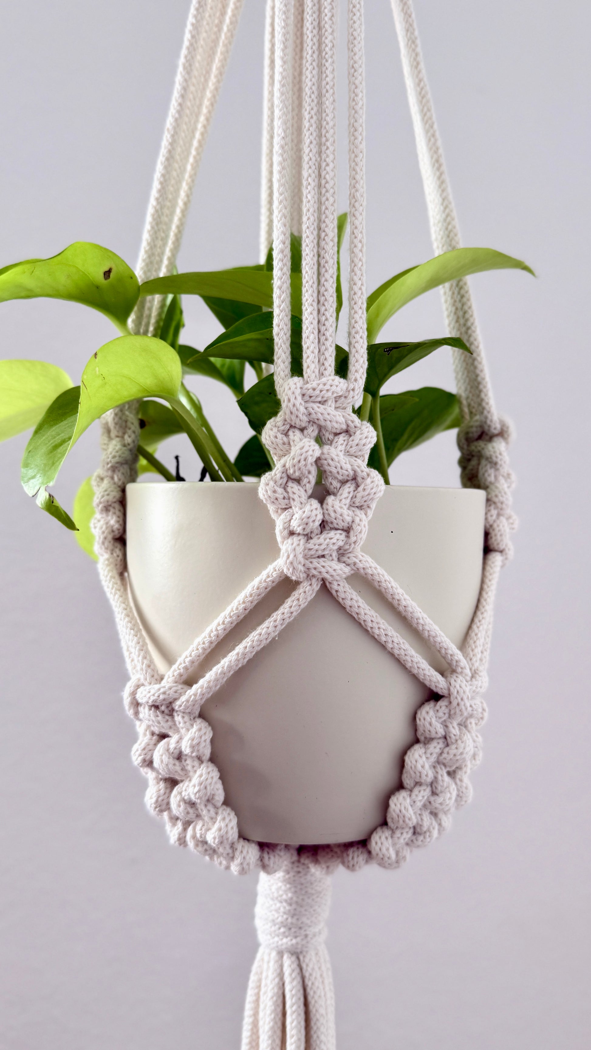 Macrame plant hanger with a pot of green plant on a light gray background