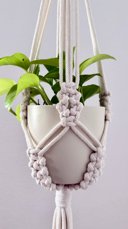 Macrame plant hanger with a pot of green plant on a light gray background