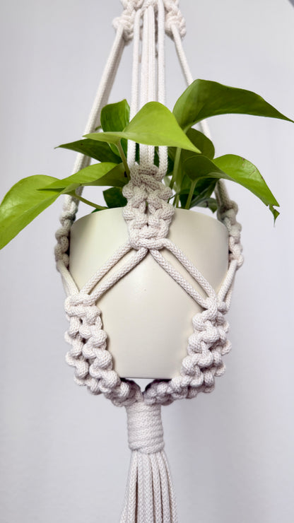 Macrame plant hanger with a pot and green plant on a plain background