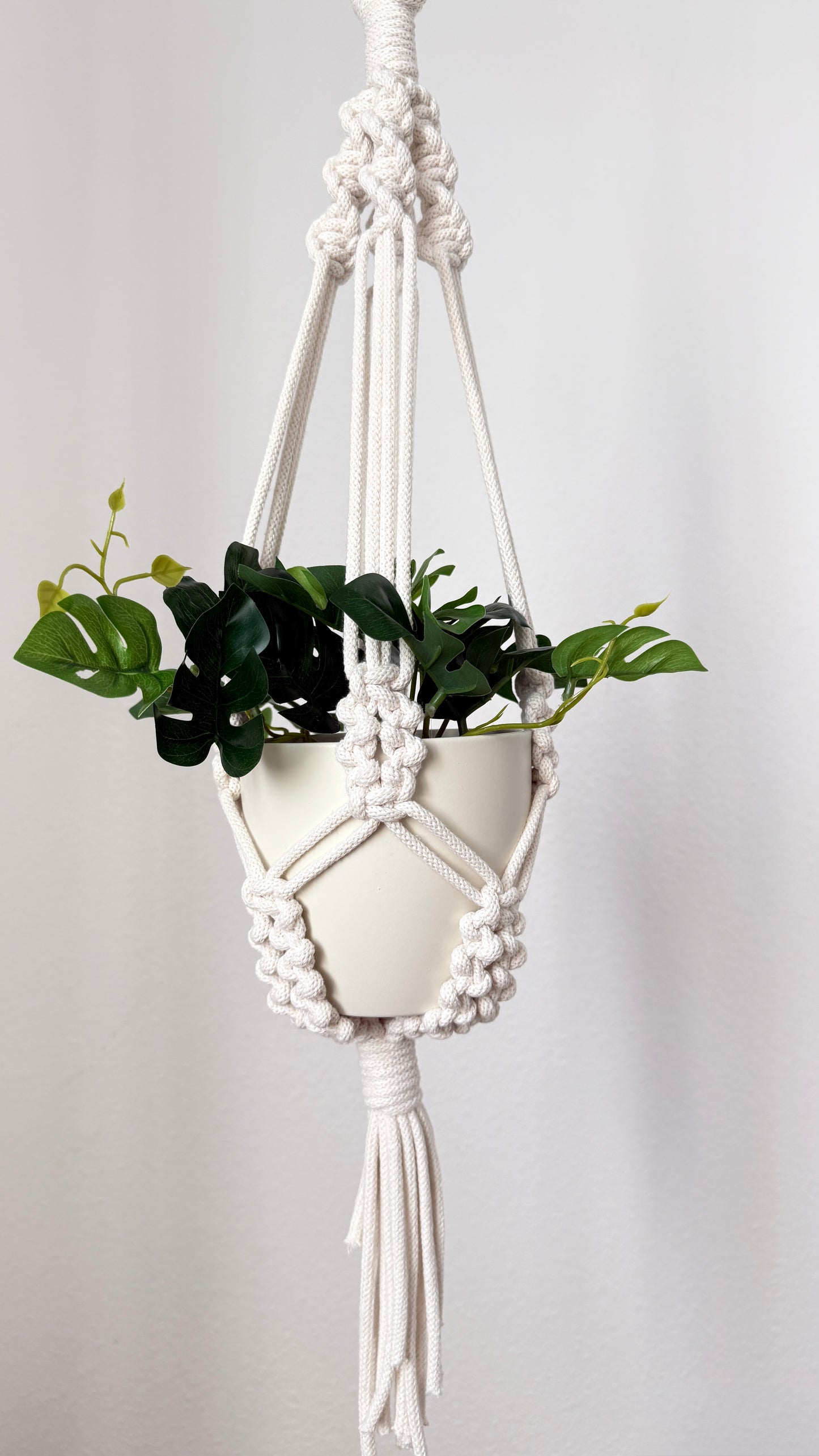 Macrame plant hanger with a pot of green plants against a white background