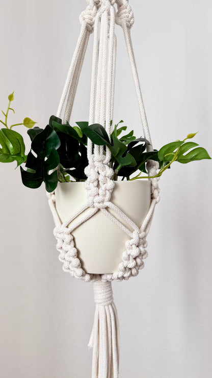 Macrame plant hanger with a white pot and green plants on a plain background