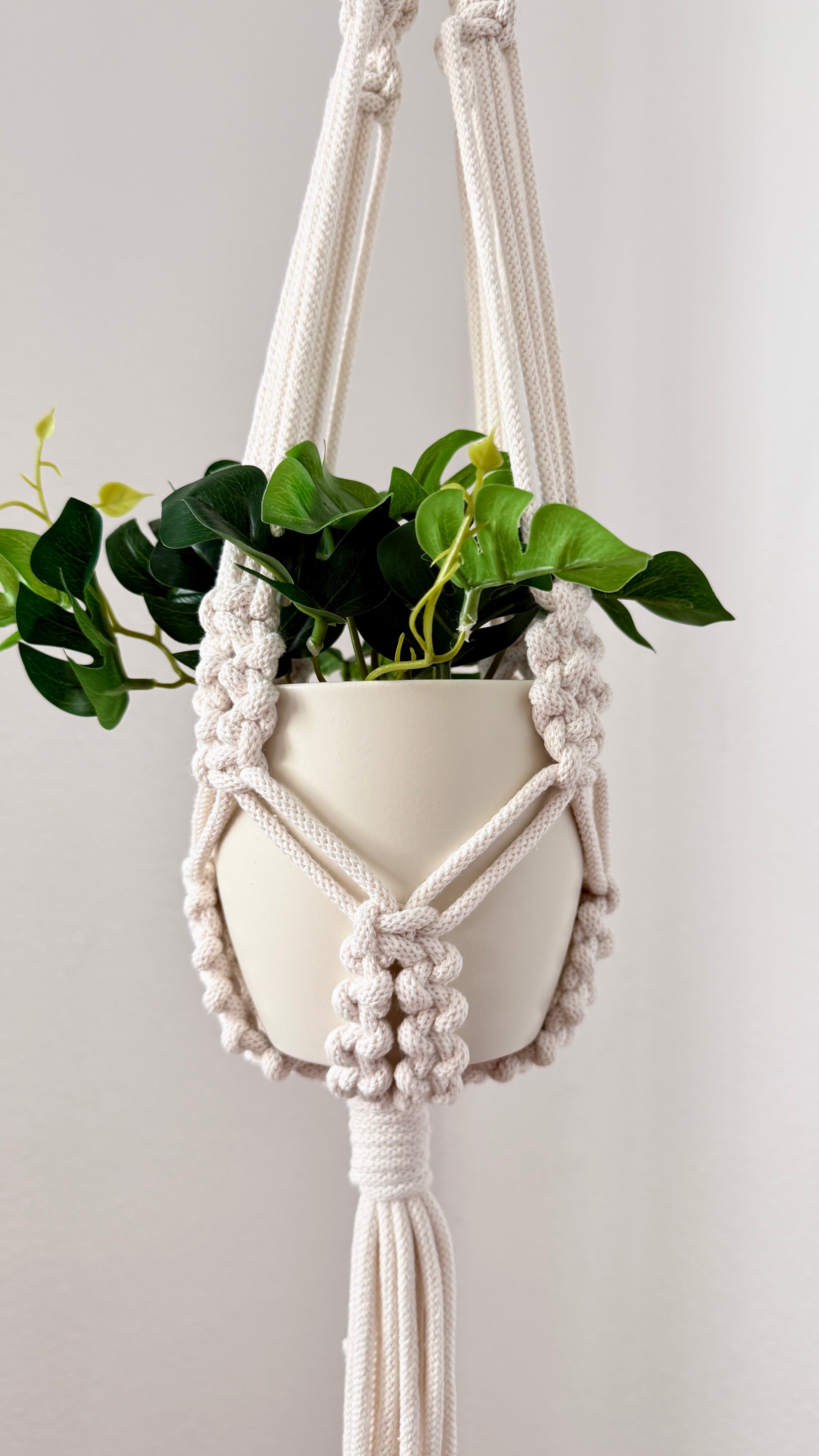 Macrame plant hanger with a white pot and green plant on a light gray background