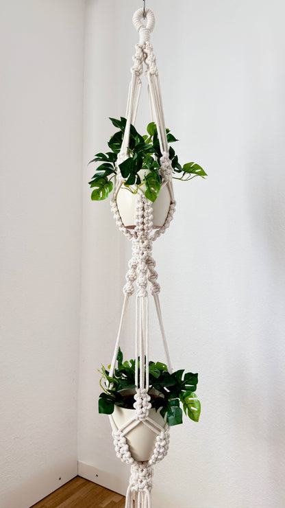 Macrame plant hanger with green plants against a white wall