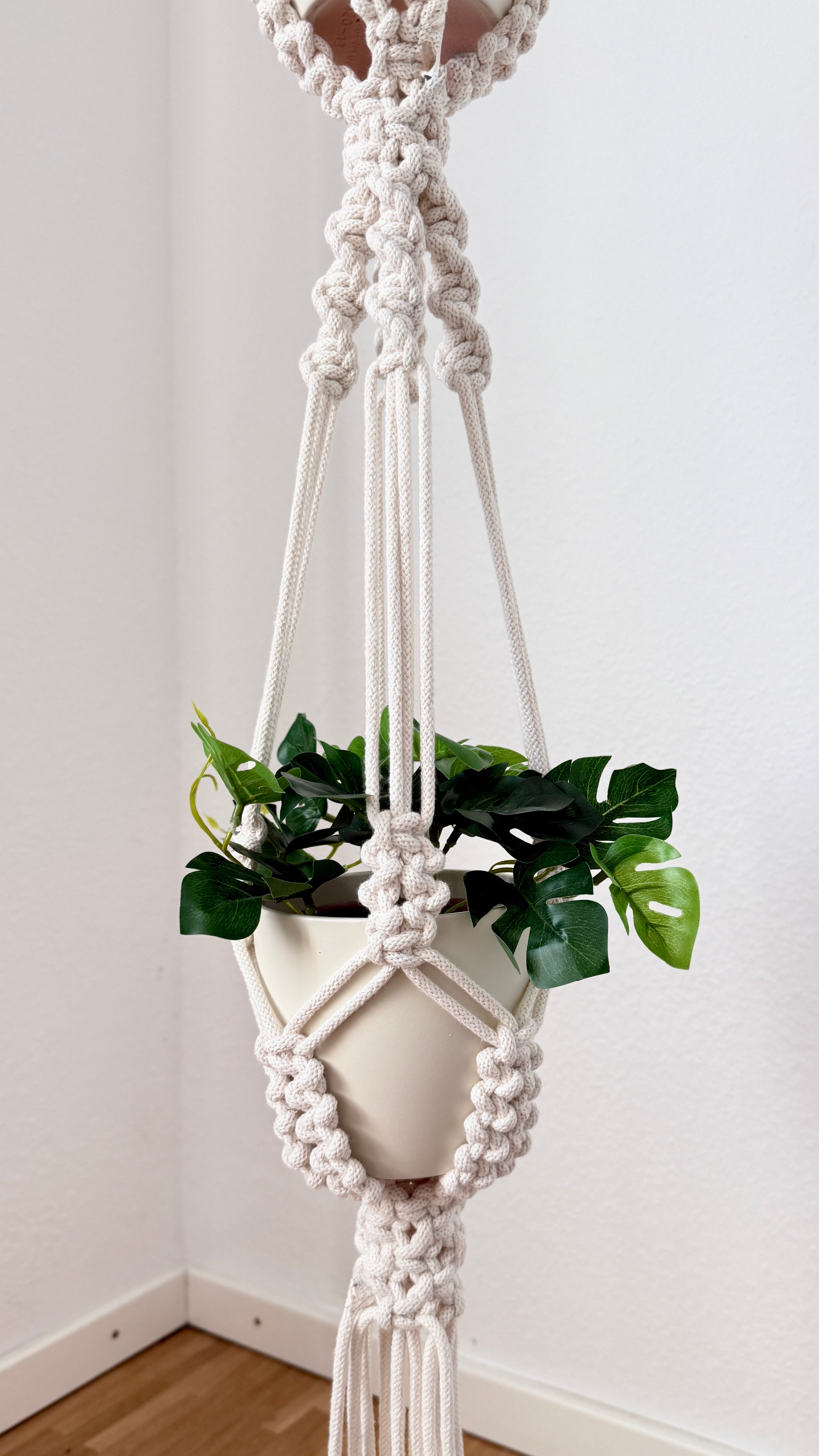 Macrame plant hanger with a plant against a white wall