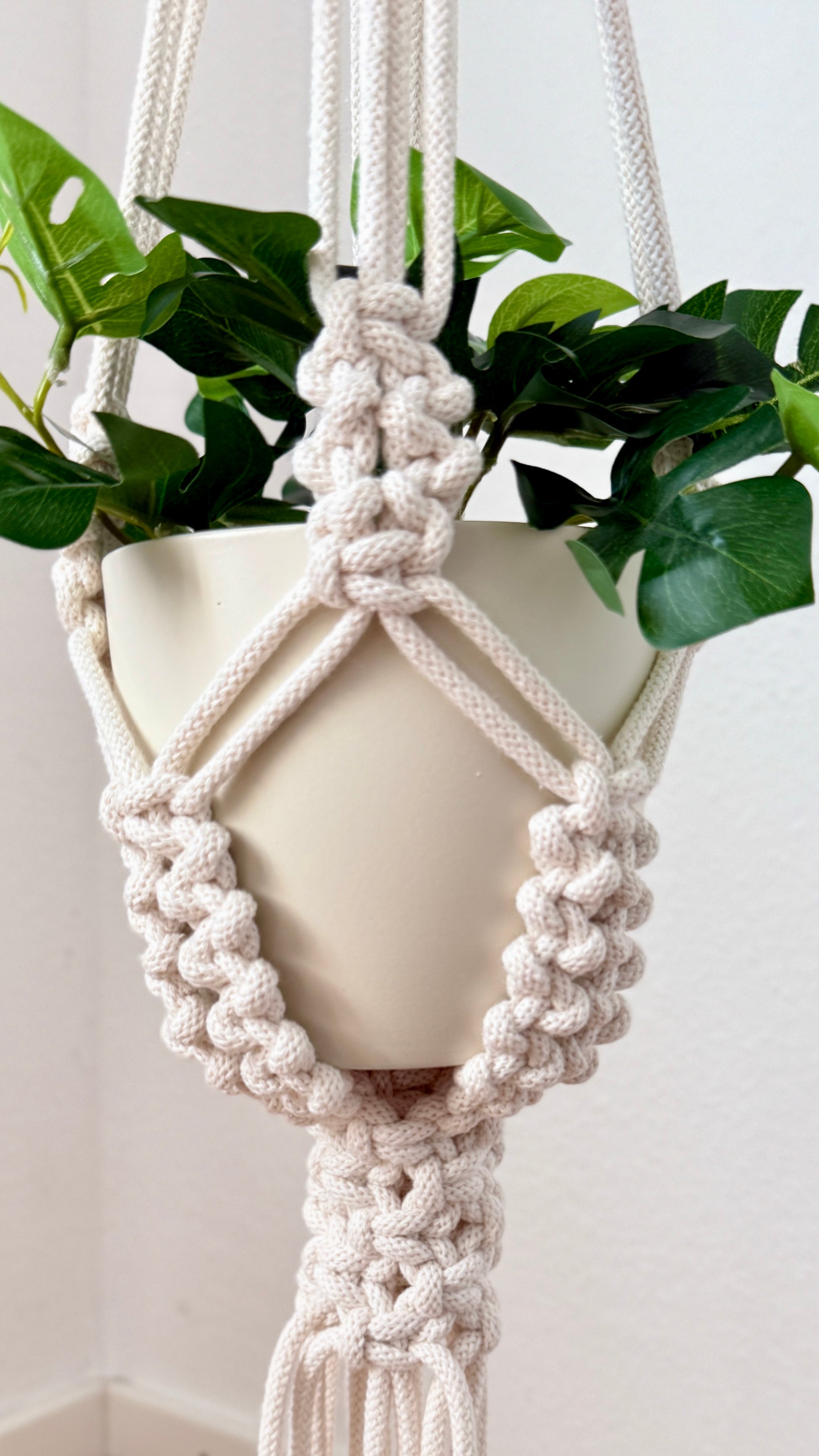Macrame plant hanger with a pot of green plant against a light background