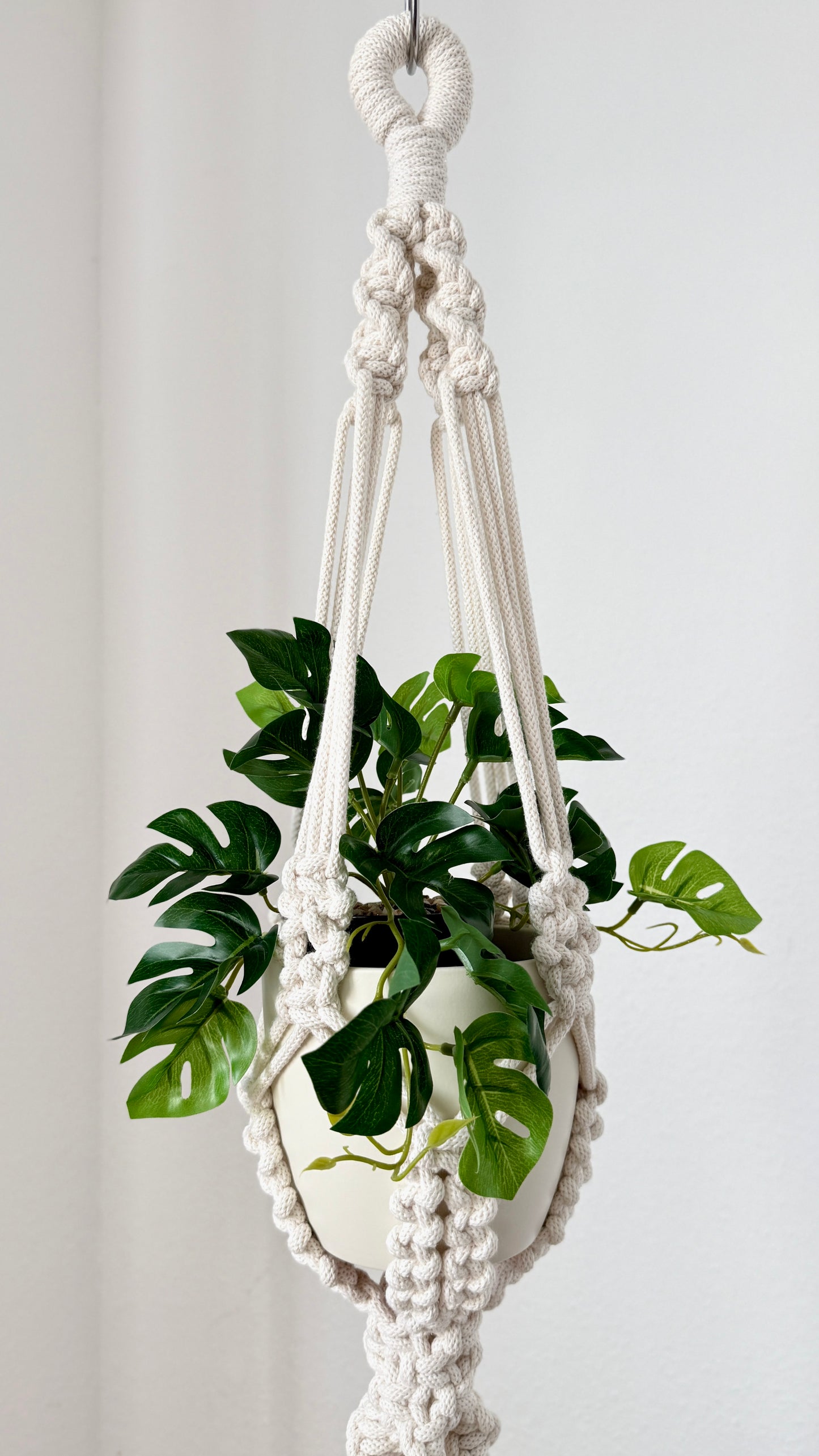 Macrame plant hanger with a green plant on a white background