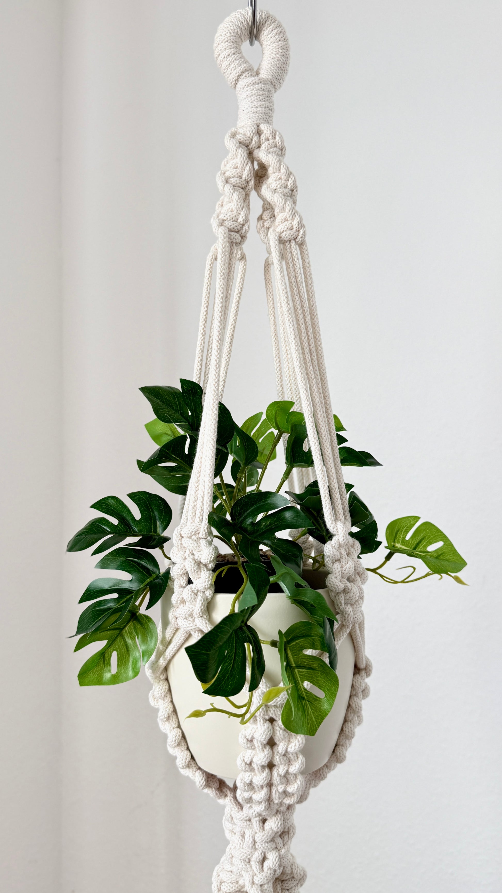 Macrame plant hanger with a green plant on a white background
