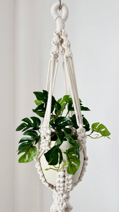 Macrame plant hanger with a green plant on a white background