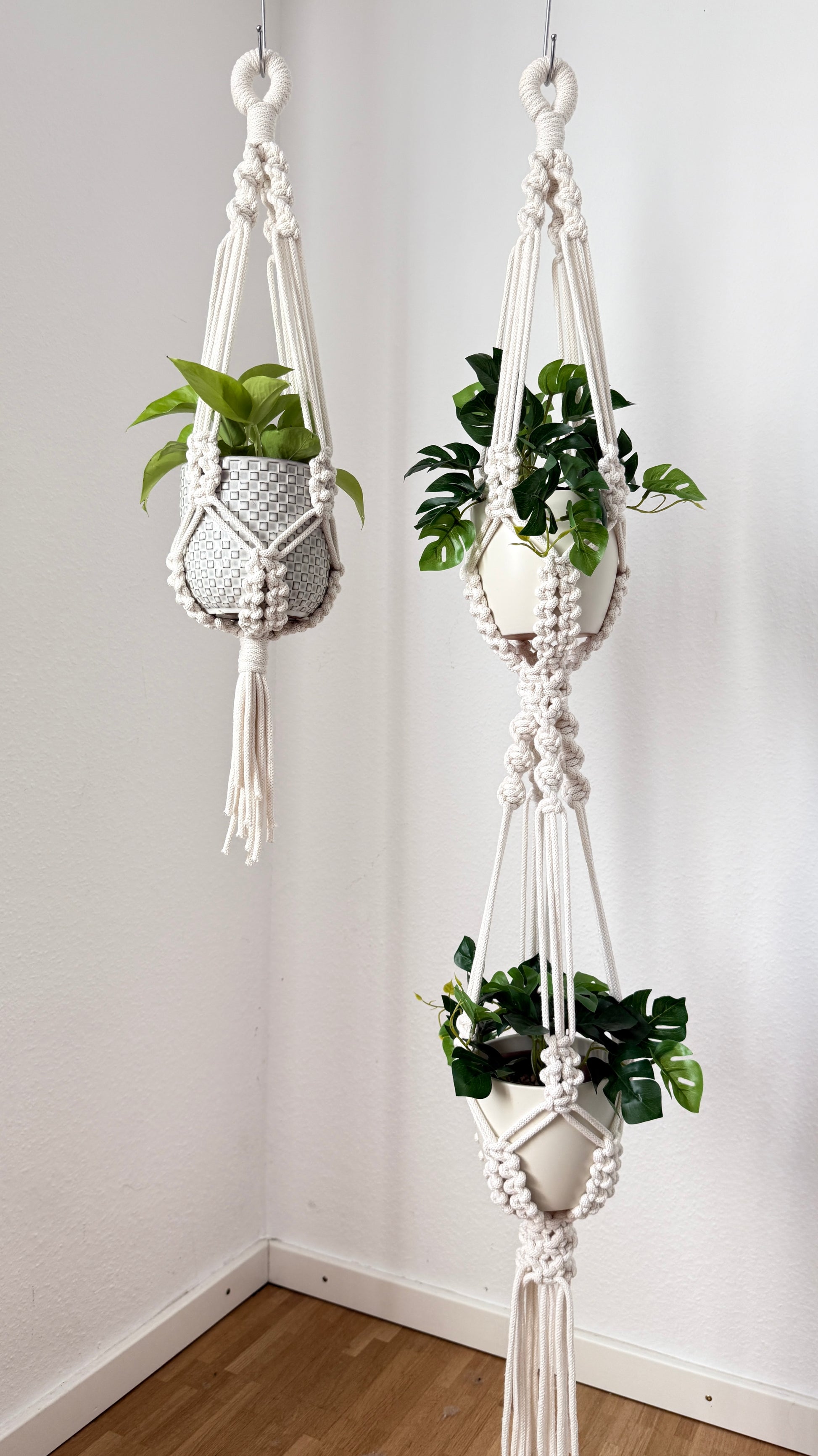 Two macrame plant hangers with plants against a white wall.
