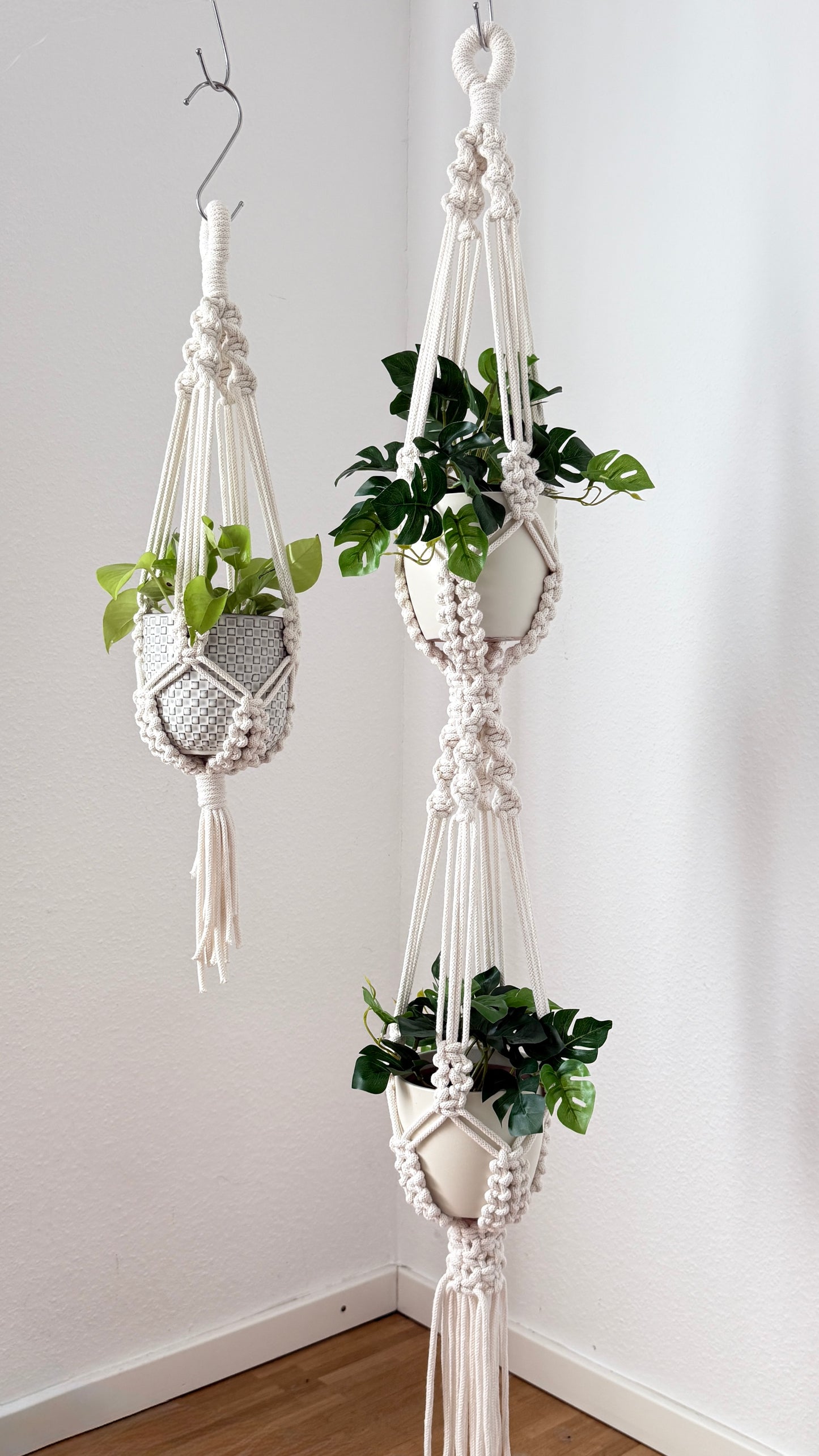 Two macrame plant hangers with plants against a white wall.