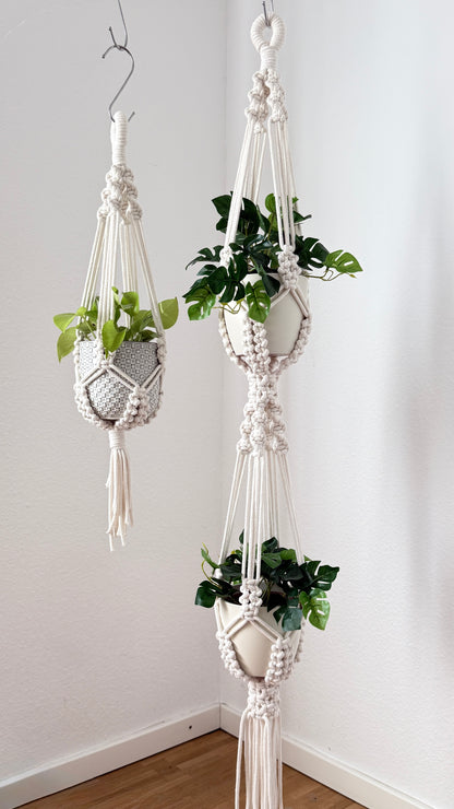 Two macrame plant hangers with plants against a white wall.