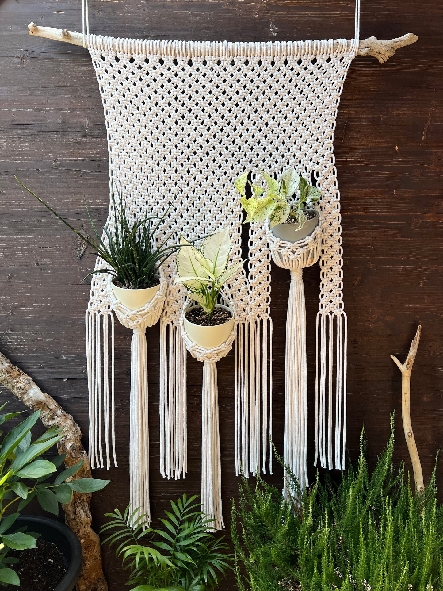 Macrame wall hanging with plant holders against a wooden background