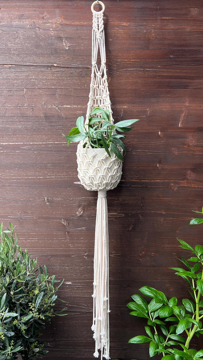 Nest Macramé Plant Hanger Pattern, DIY Instructions