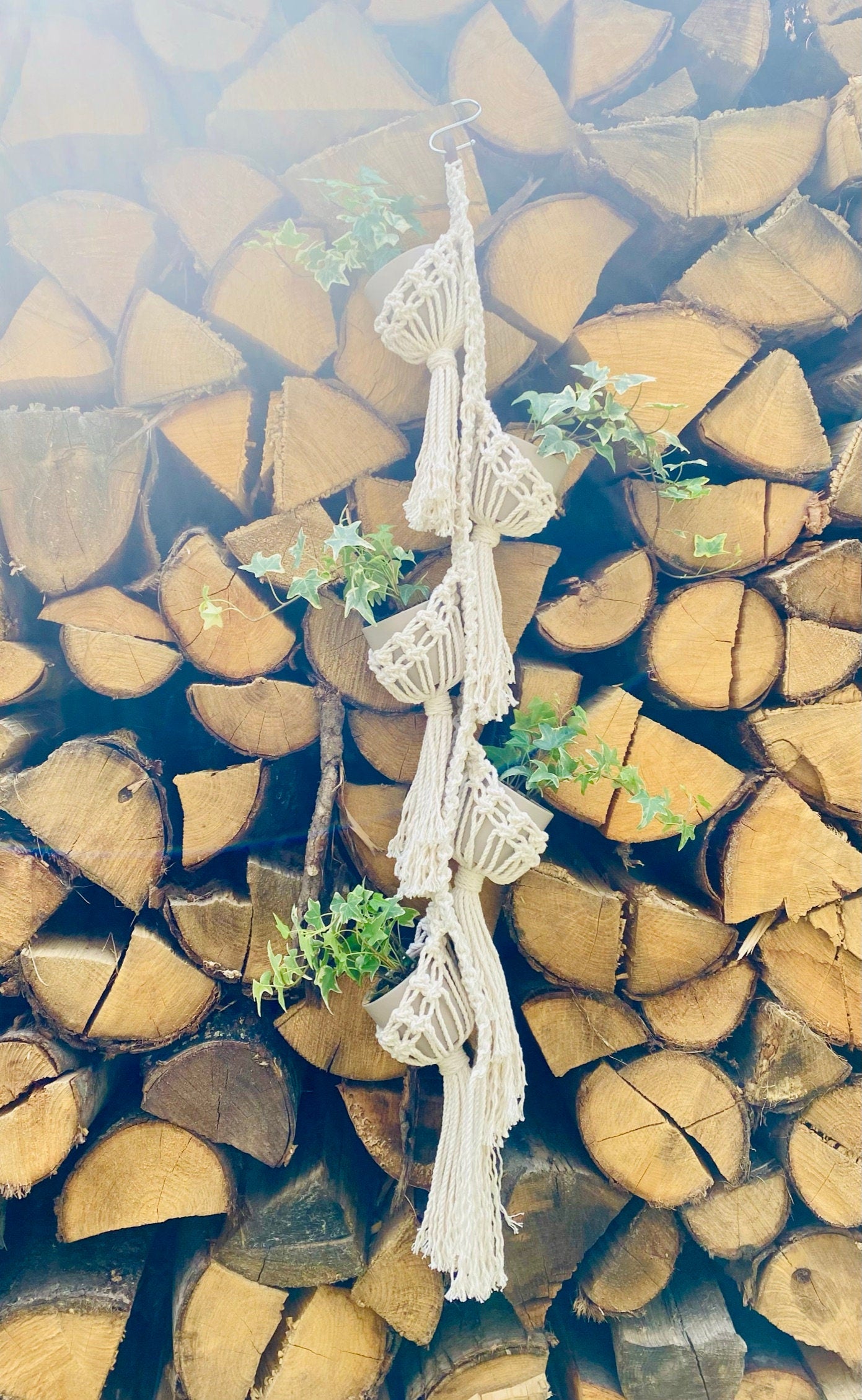 Macrame plant hanger with green plants against a background of stacked wooden logs