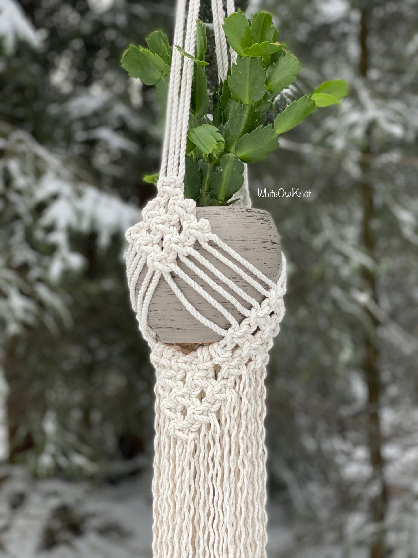 Macrame plant hanger with a pot of greenery against a snowy background
