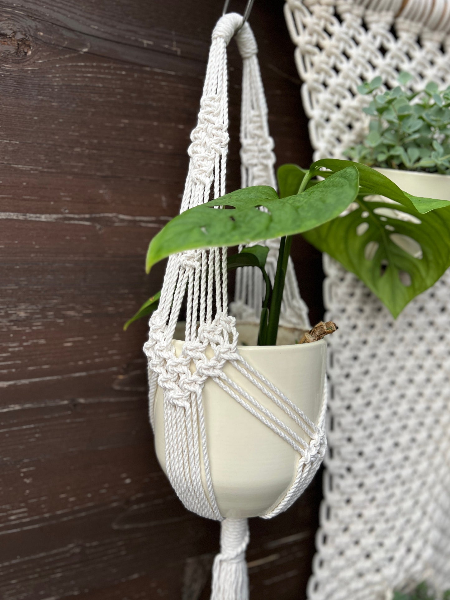 Macrame plant hanger with a potted plant against a wooden wall.