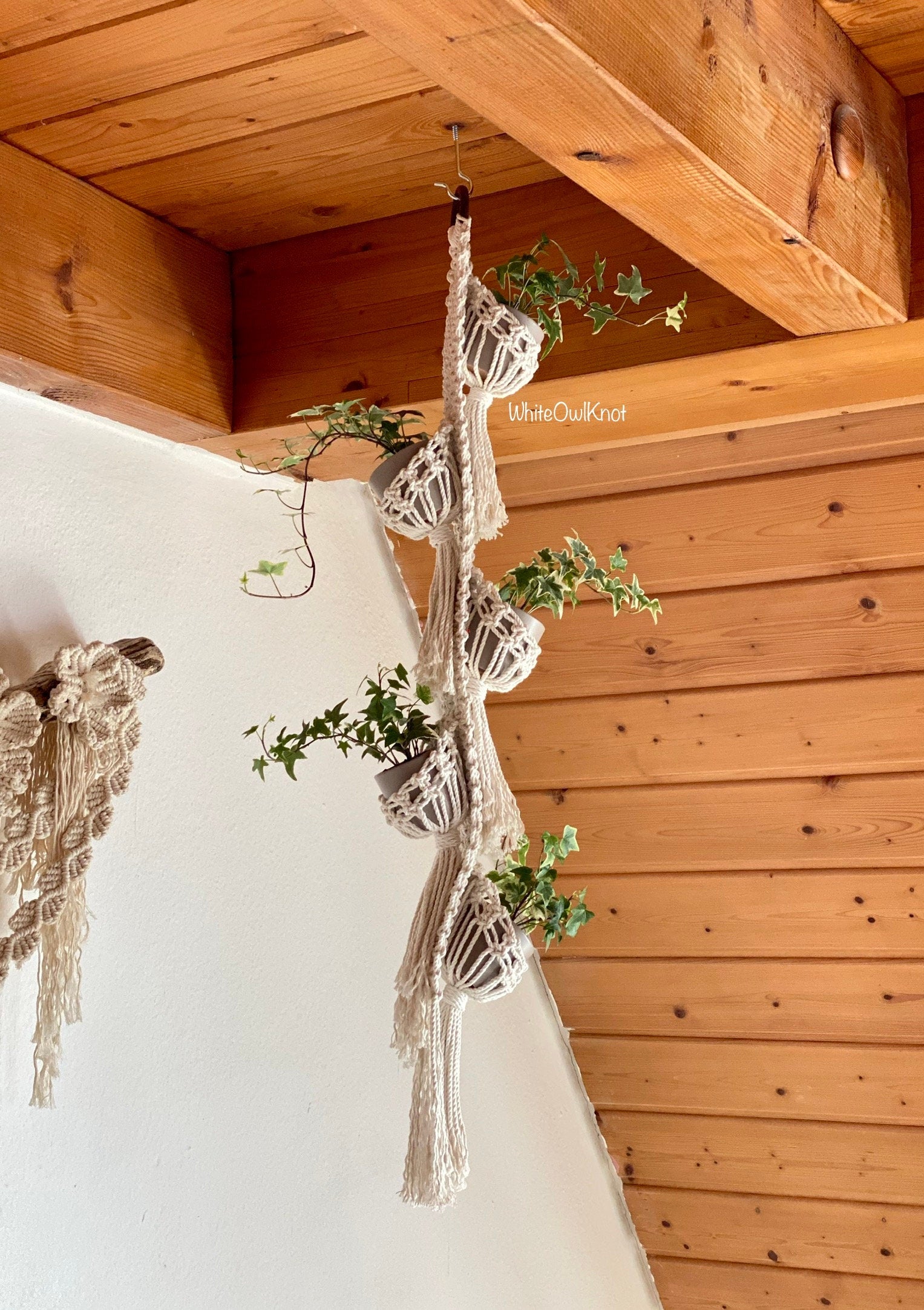 Multiple Macrame plant hanger with plants against a wooden ceiling and white wall.