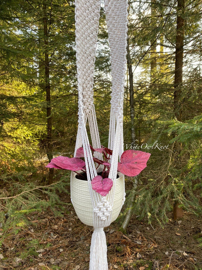 Macrame plant hanger with a pink plant in a forest setting