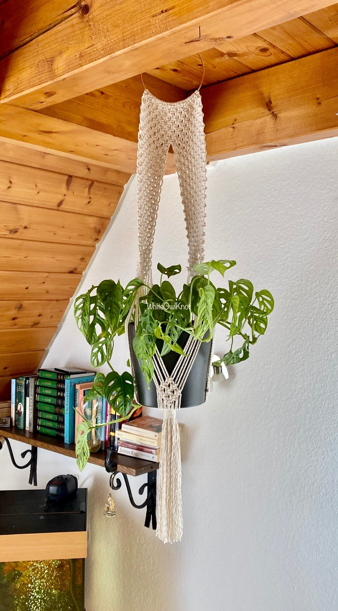 Macrame plant hanger with a plant against a white wall.