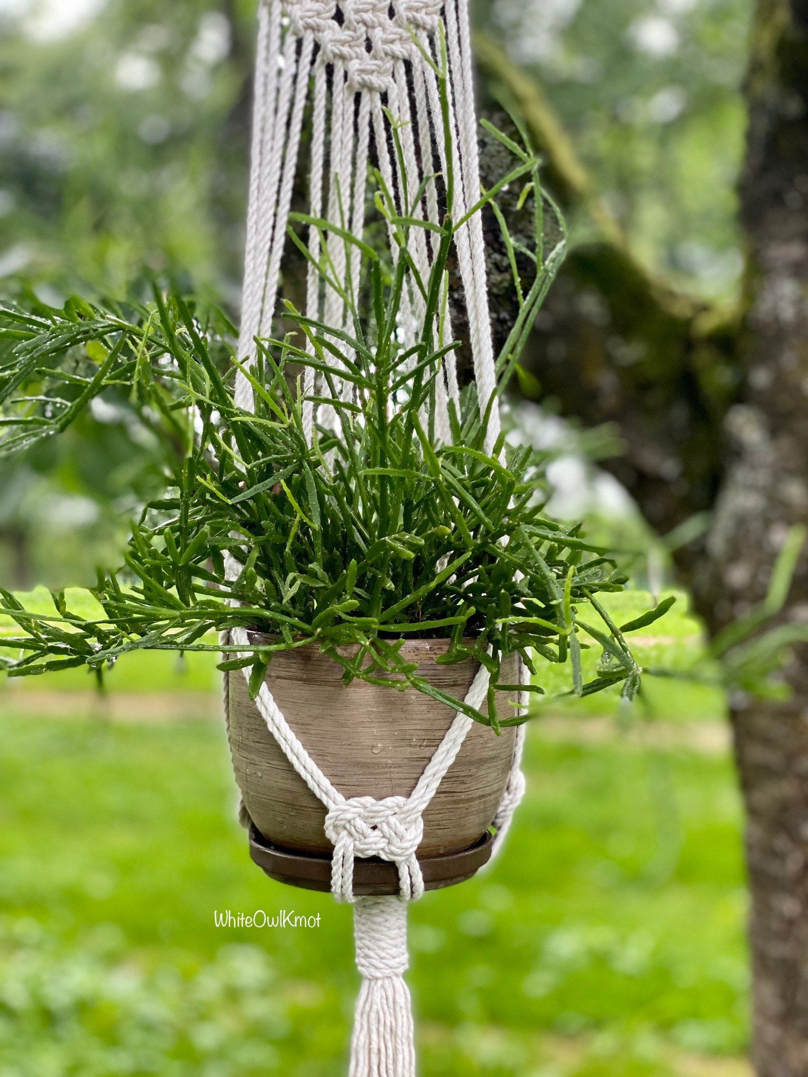 Macrame plant hanger with a potted plant against a blurred natural background