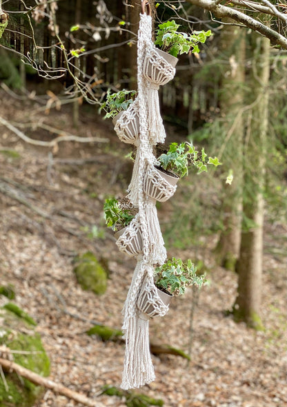 Macrame plant hanger with hanging plants in a forest setting