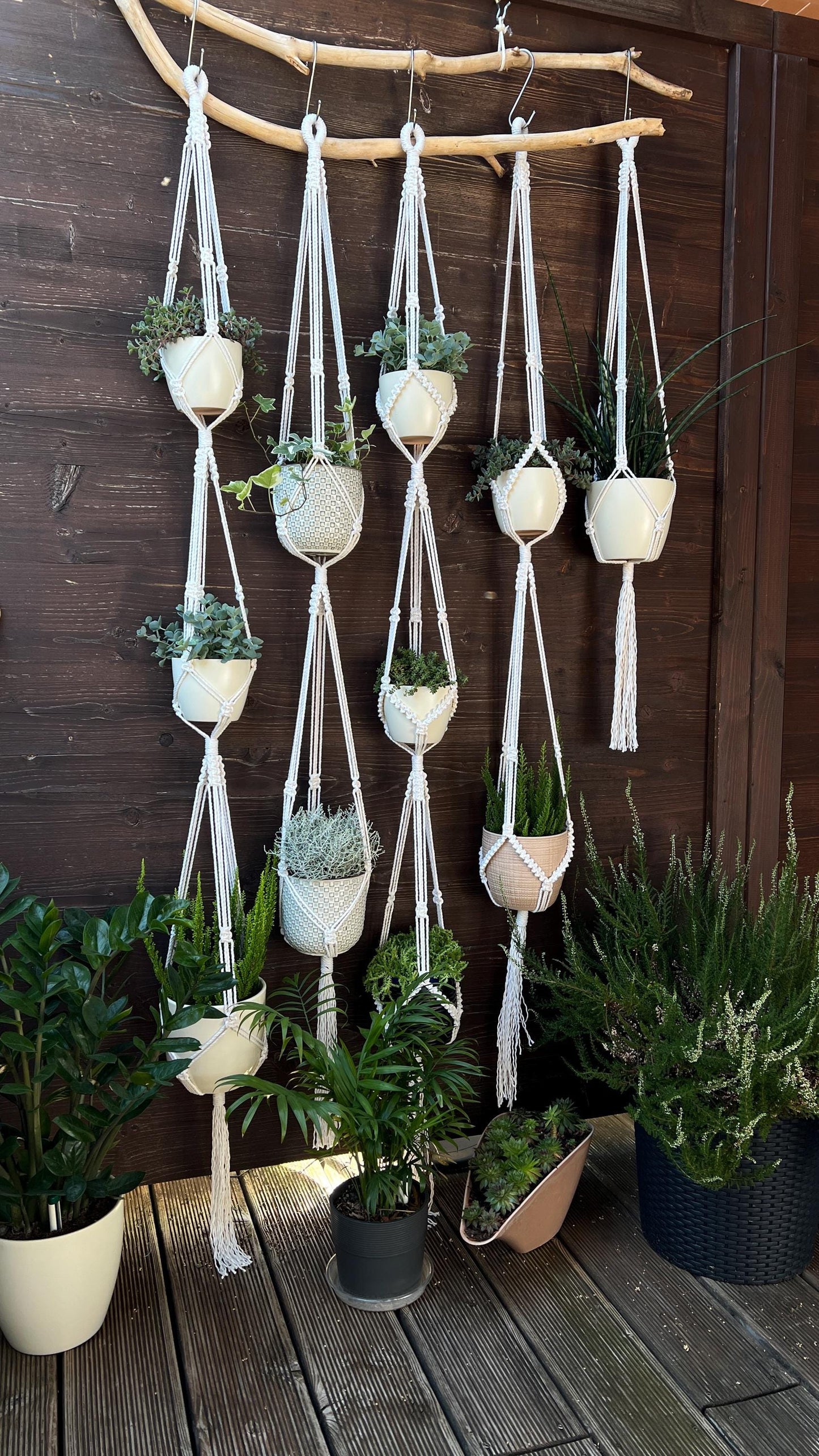 Hanging planters with plants on a wooden deck against a wooden wall.