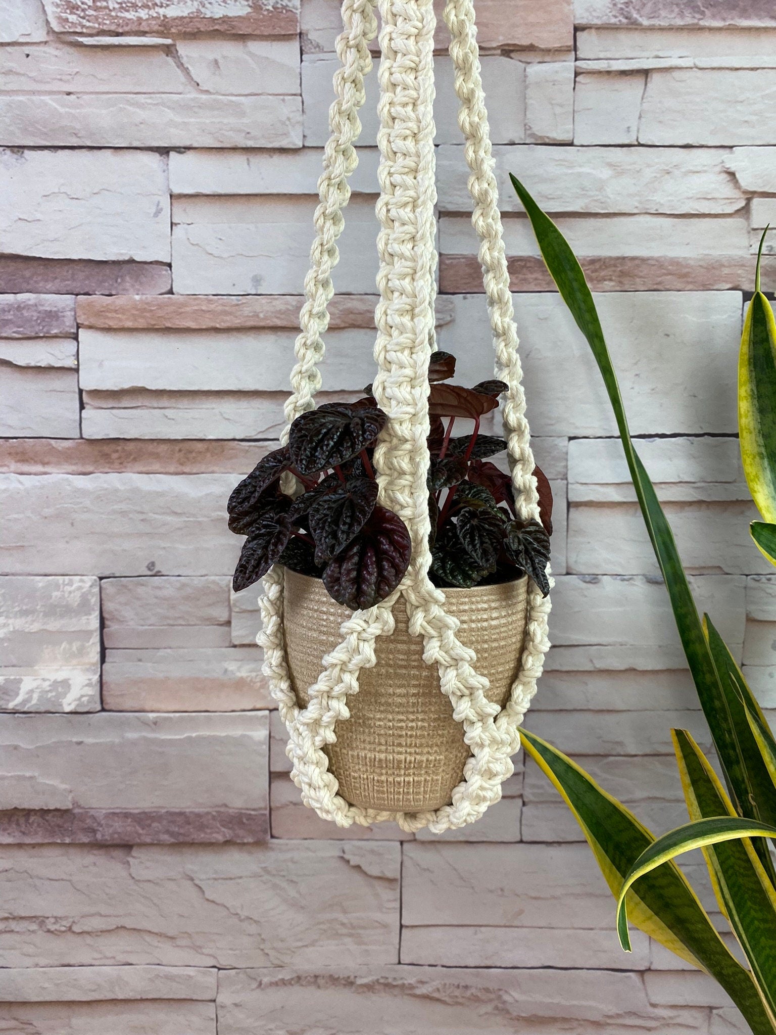 Hanging plant holder with a plant against a stone wall background