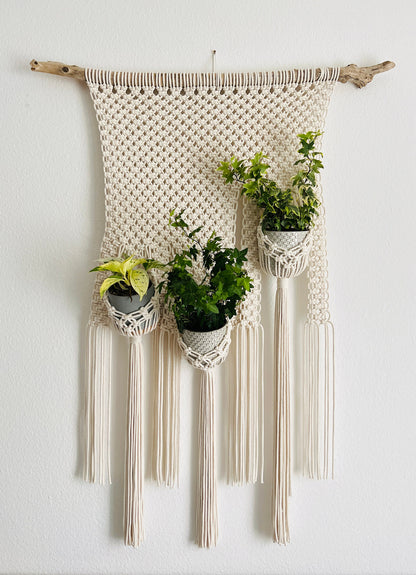 Macrame plant hanger with three hanging plants on a white wall
