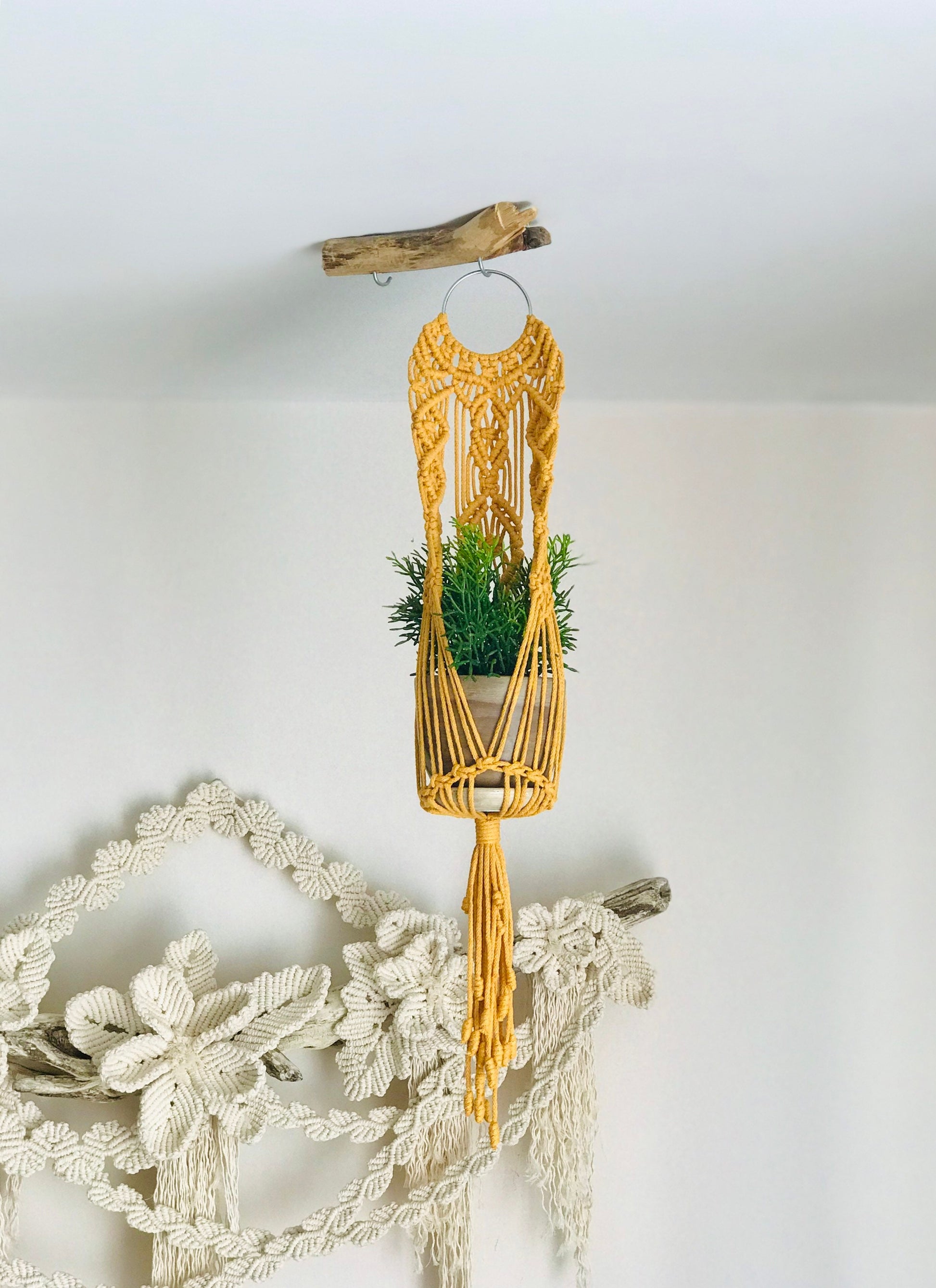 Yellow macrame plant hanger with a small plant on a white wall.