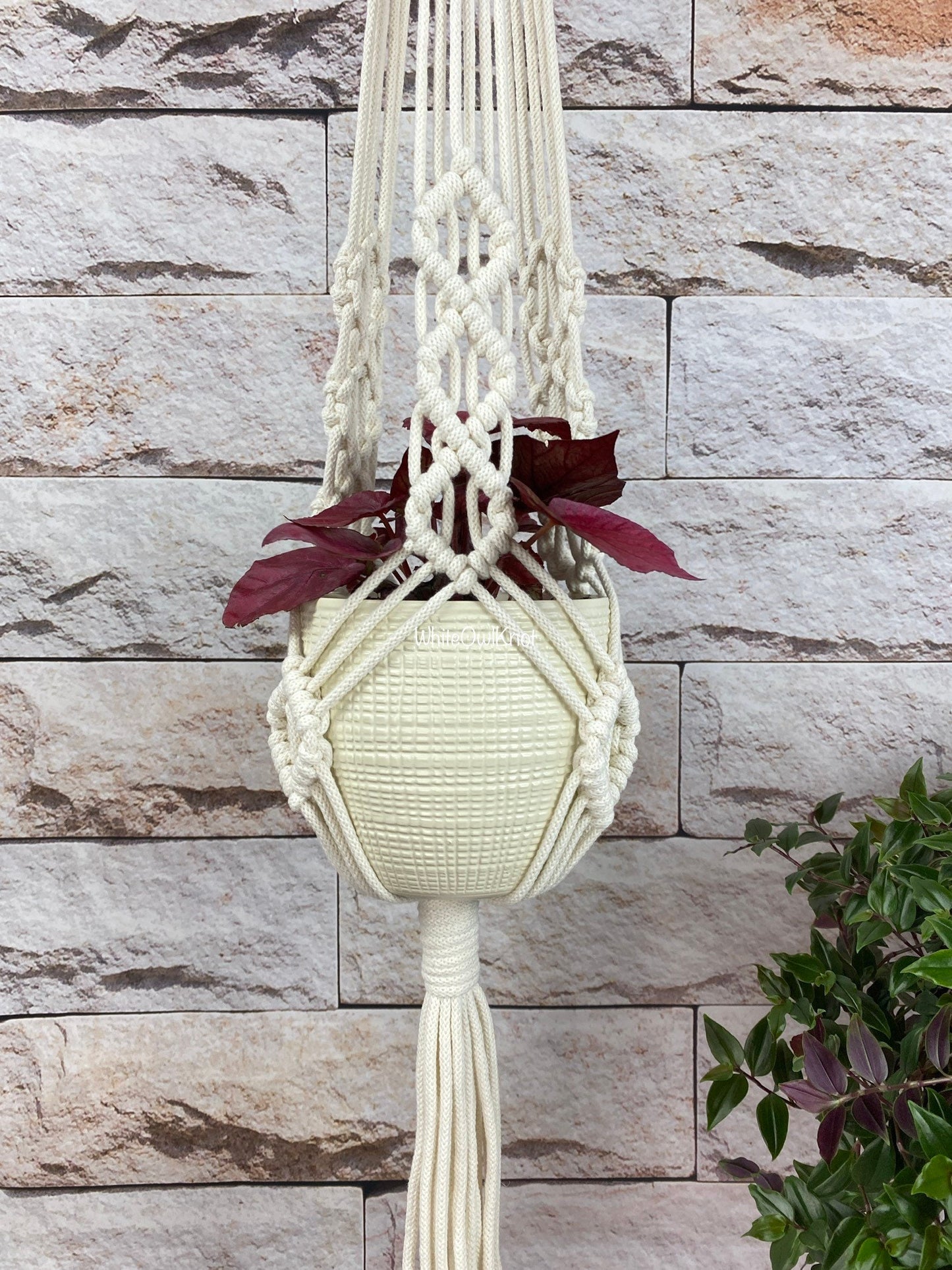 Macrame plant hanger with a plant against a stone wall background