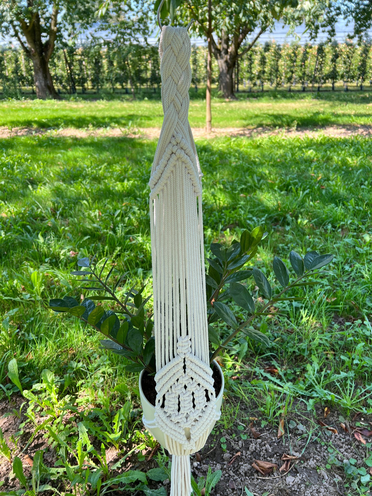 Macrame plant hanger with a plant in an orchard setting
