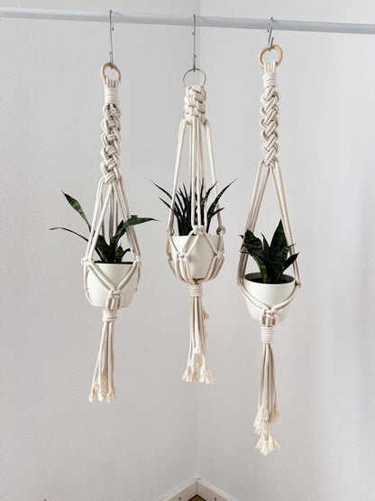Three macrame plant hangers with plants against a white wall
