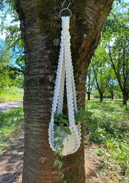 Macrame plant hanger hanging from a tree in an outdoor setting
