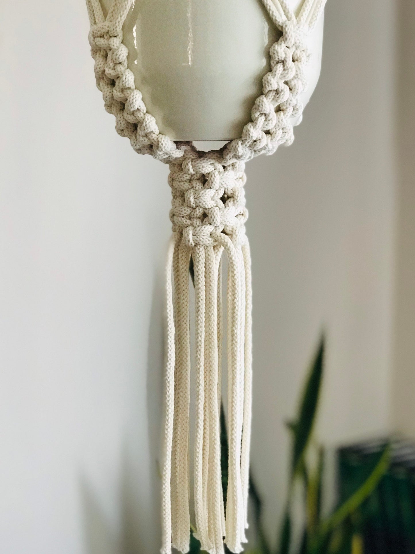 Macrame plant hanger with a plant against a neutral background